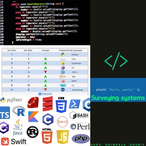 THE NEED FOR SURVEYORS TO HAVE PROGRAMMING SKILLS